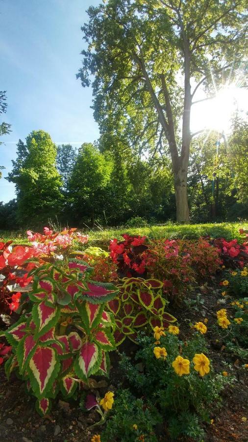 Moderne Ferienwohnungen Am Kurpark - Zentral, Ruhig & Nah Am Edersee Бад-Вильдунген Экстерьер фото